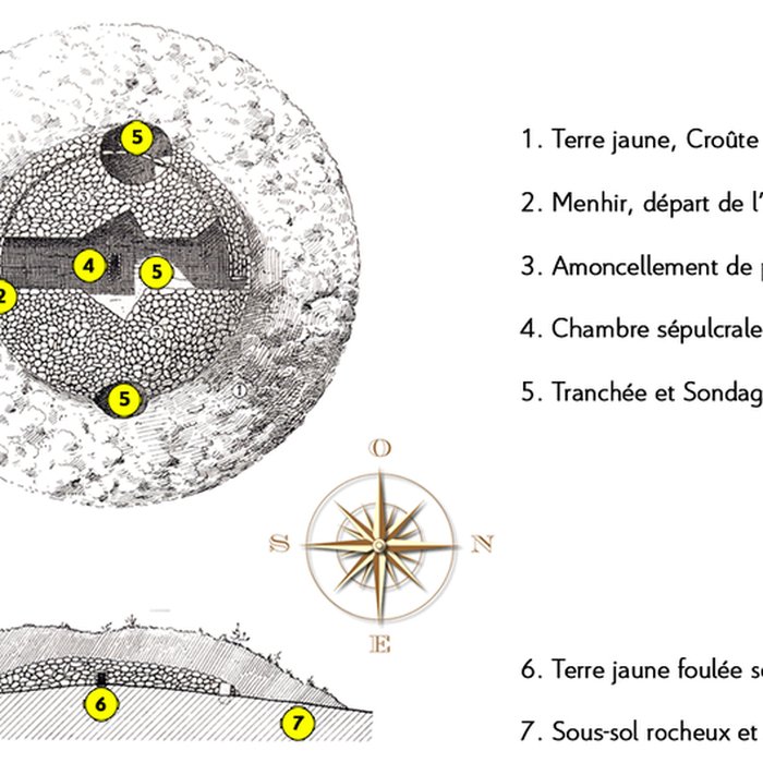 Photo de Tumulus de Saint Fiacre à Melrand