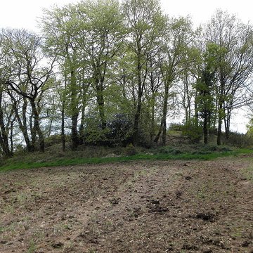 Tumulus de Saint Fiacre à Melrand