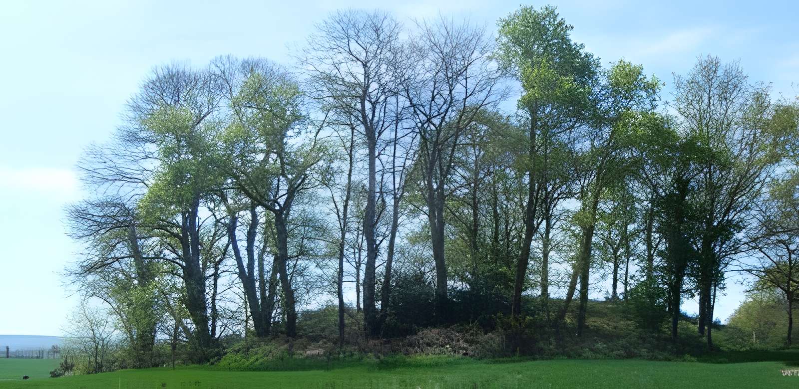 Tumulus de Saint Fiacre à Melrand 
