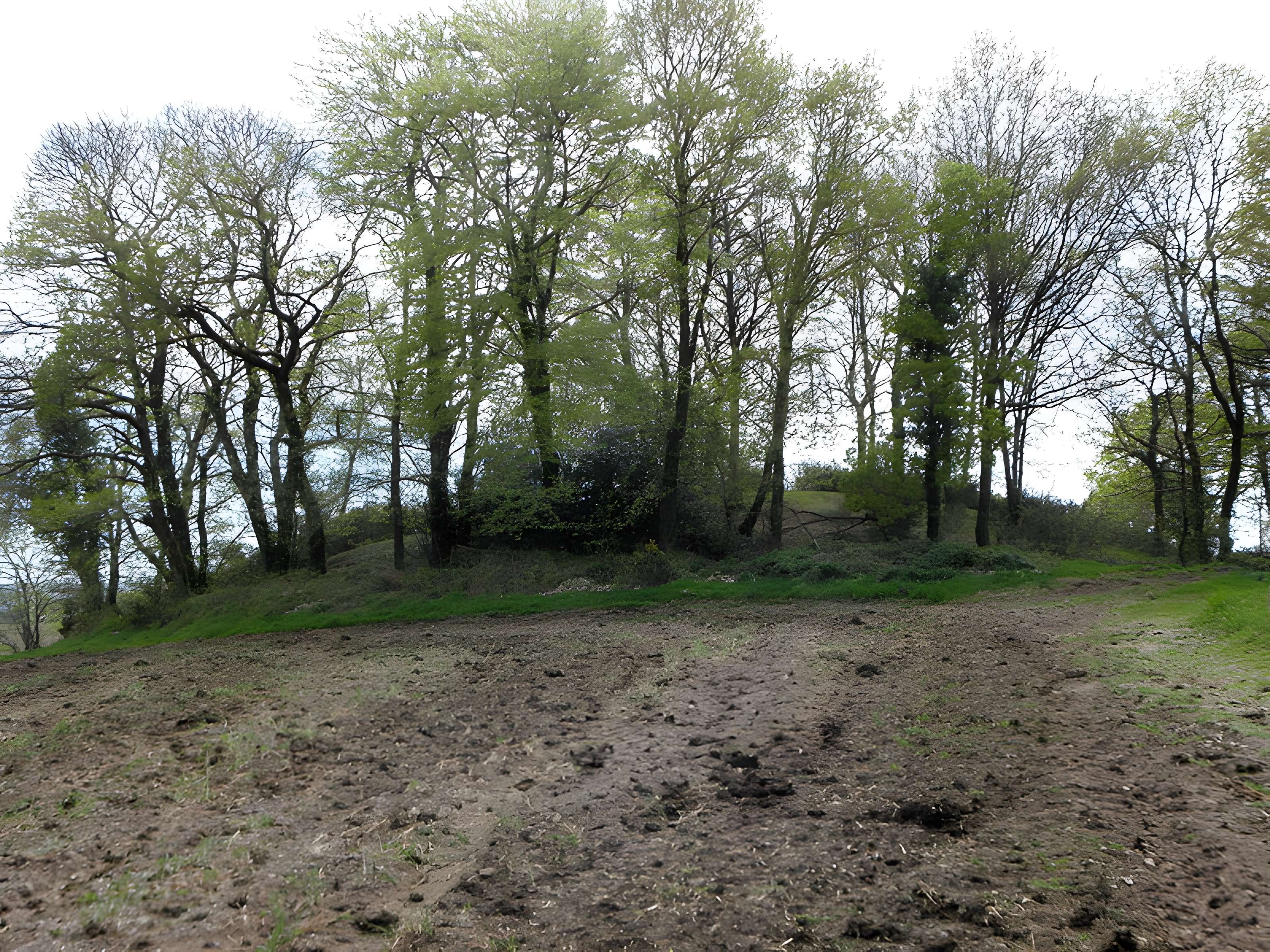 Tumulus de Saint Fiacre à Melrand