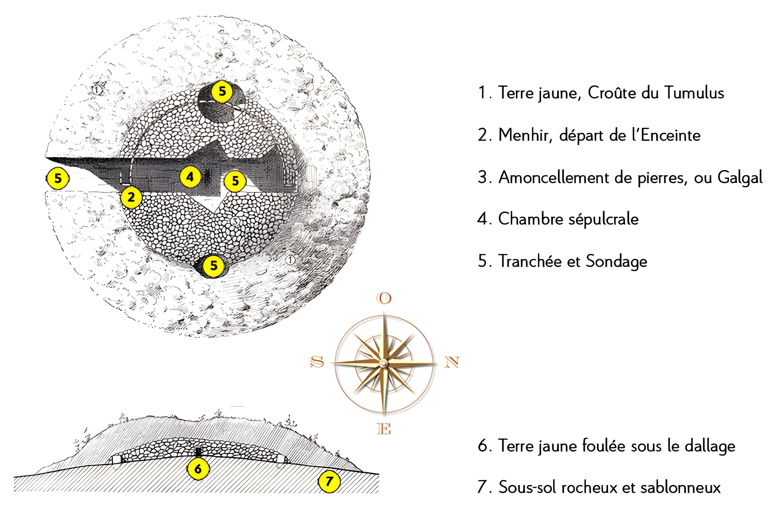 Tumulus de Saint Fiacre à Melrand