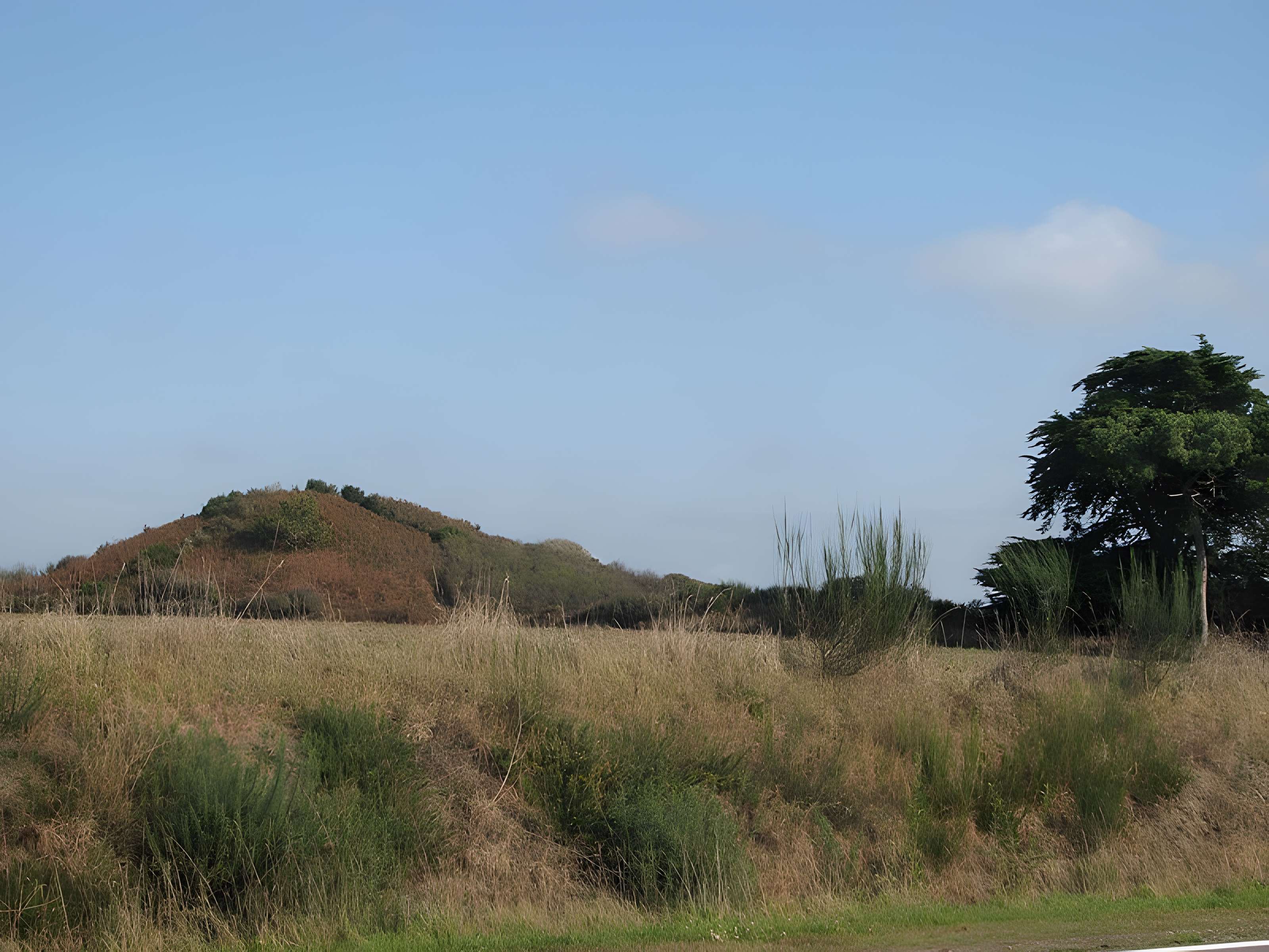Tumulus de Tumiac à Arzon 