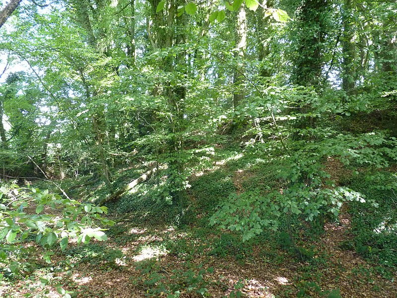Photo de Tumulus dit An Dossen à Louargat