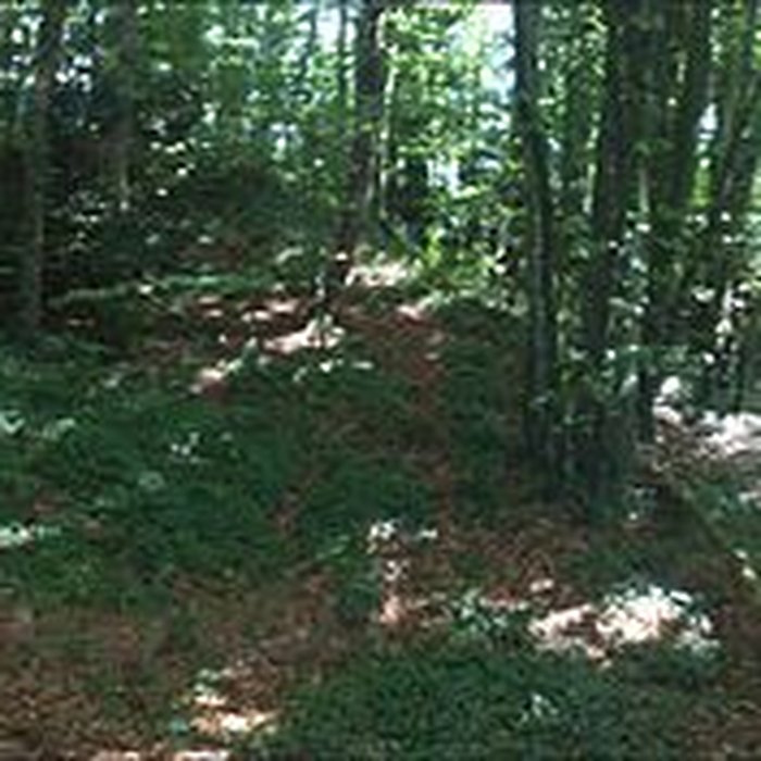 Photo de Tumulus dit An Dossen à Louargat