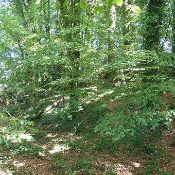 Tumulus dit An Dossen à Louargat