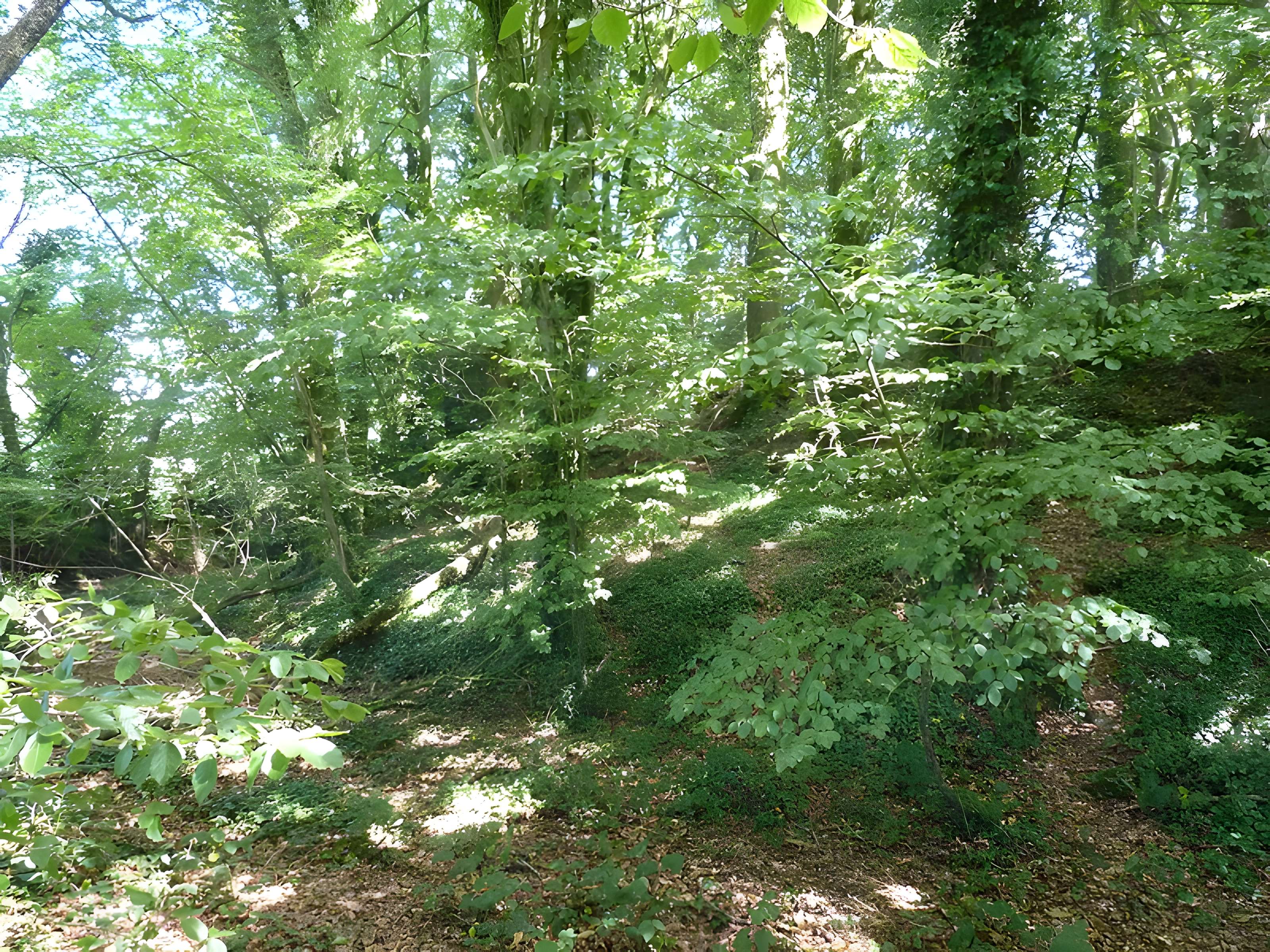 Tumulus dit An Dossen à Louargat