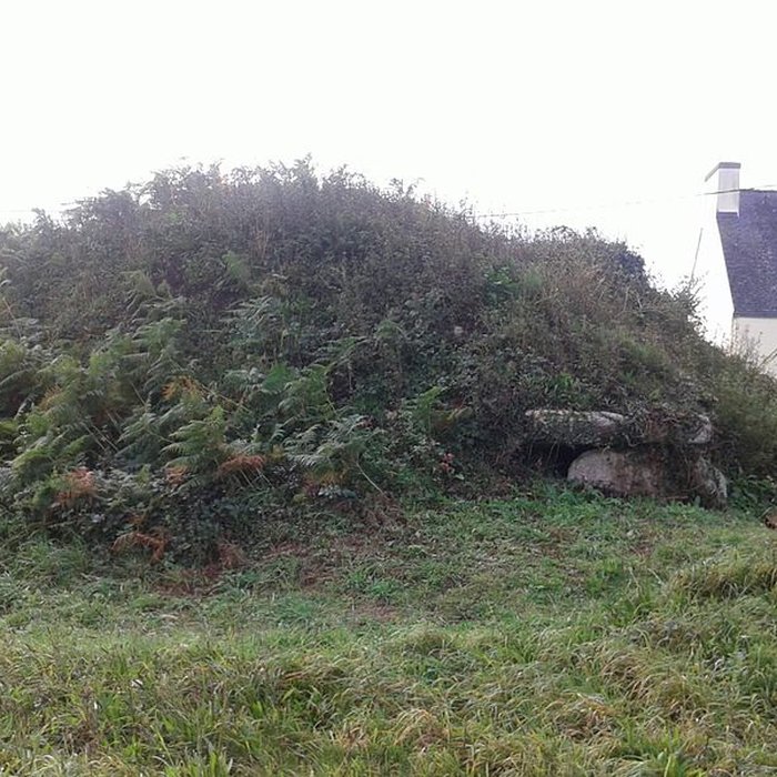 Photo de Tumulus du Poulguen à Penmarch