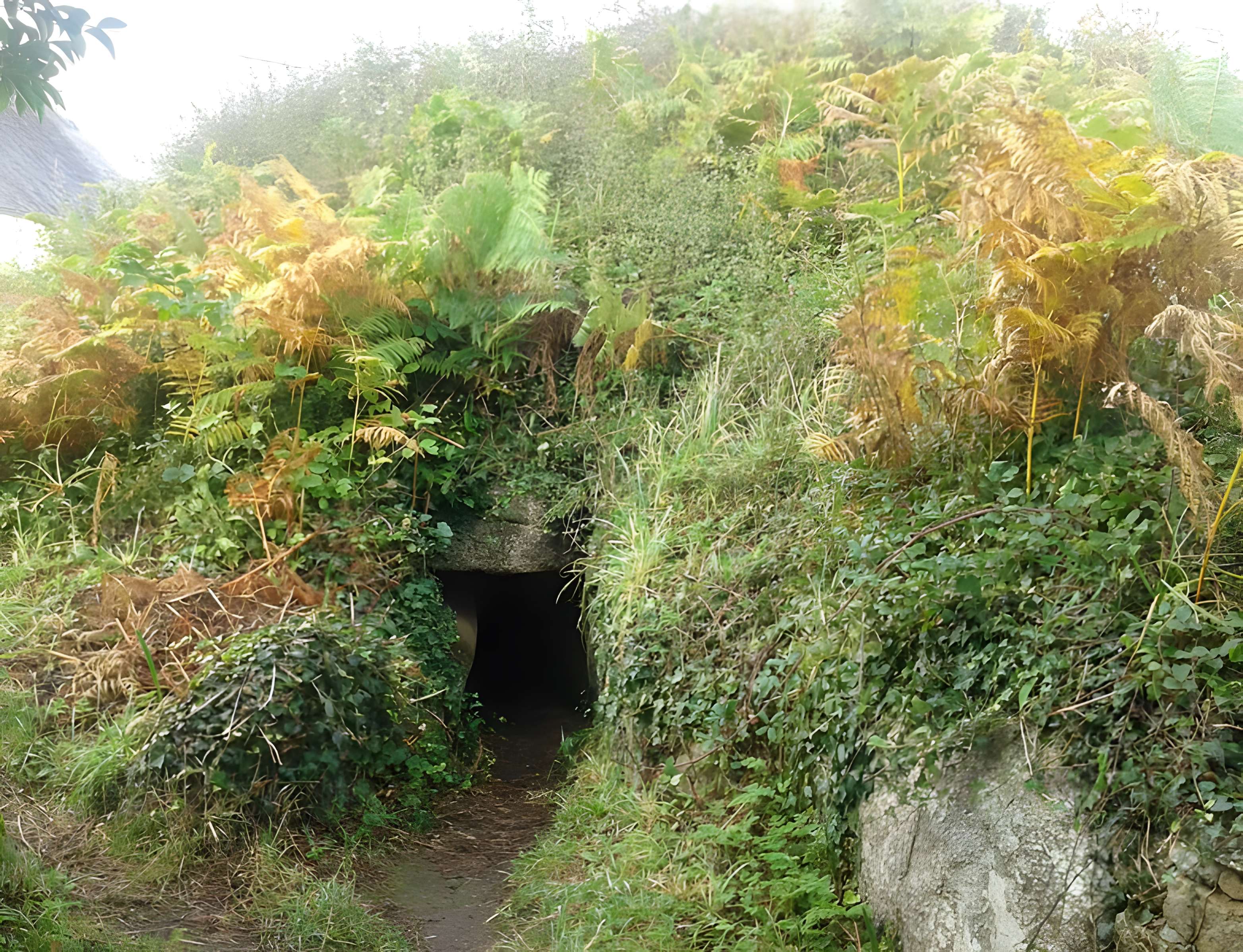 Tumulus du Poulguen à Penmarch