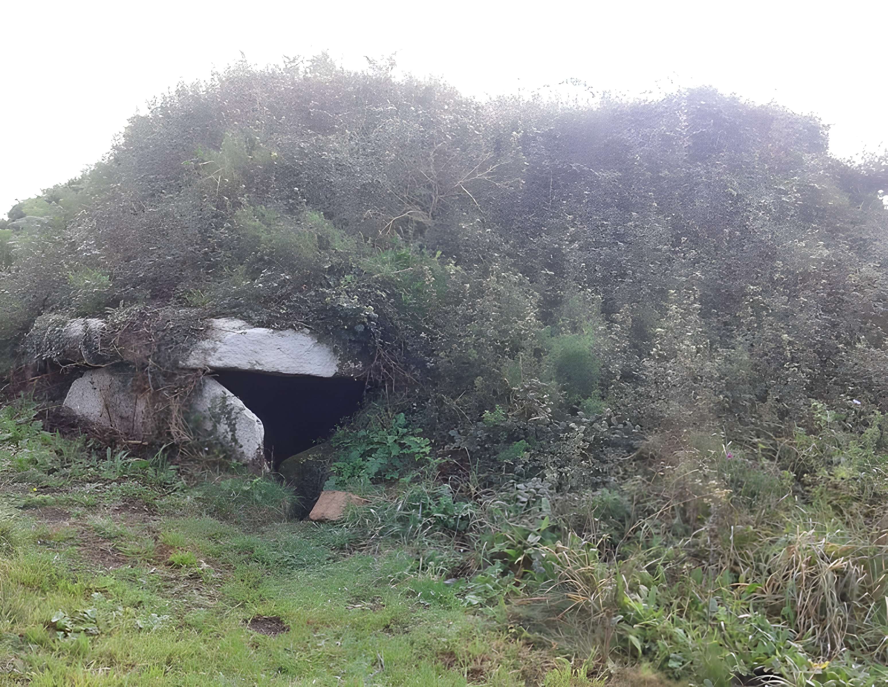 Tumulus du Poulguen à Penmarch