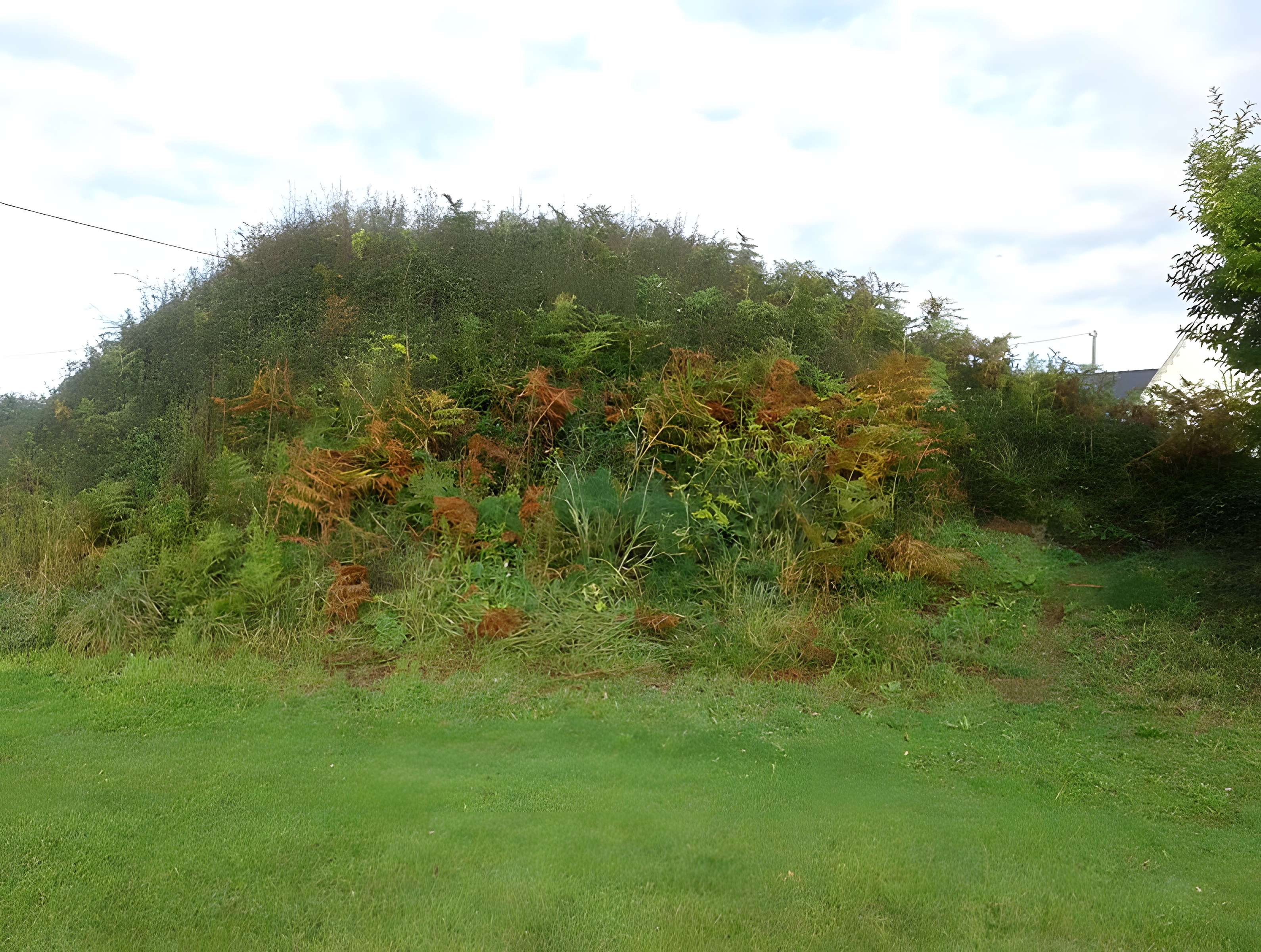 Tumulus du Poulguen à Penmarch
