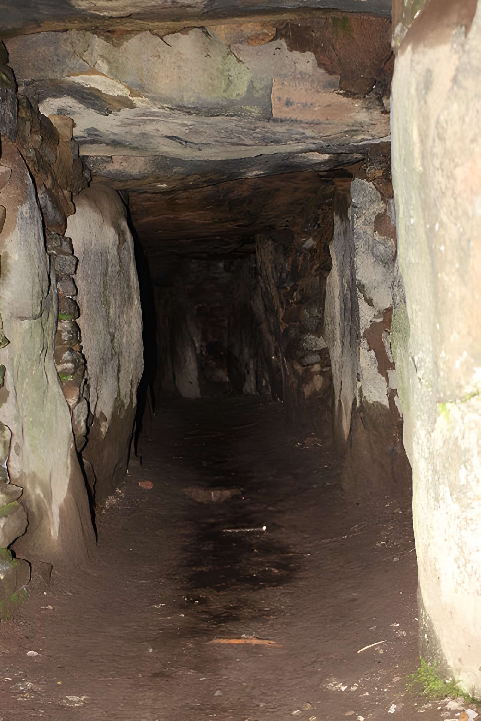 Tumulus du Rocher à Bono
