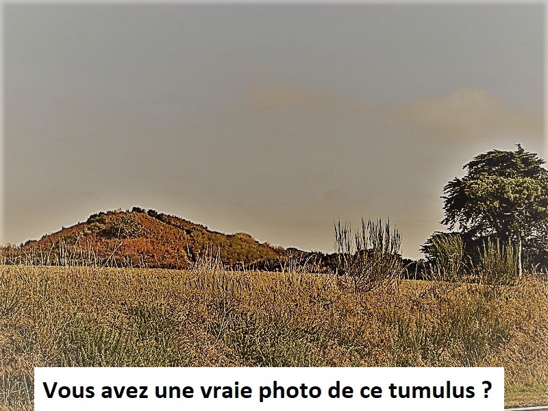 Photo de Tumulus du Tertre à Soings-en-Sologne