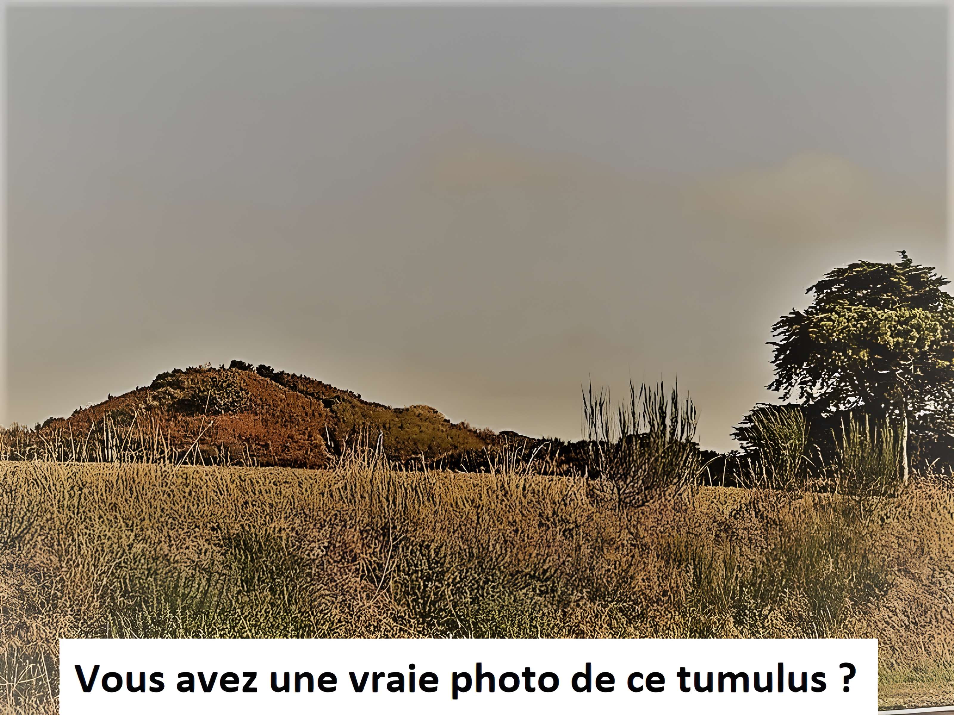 Tumulus du Tertre à Soings-en-Sologne 