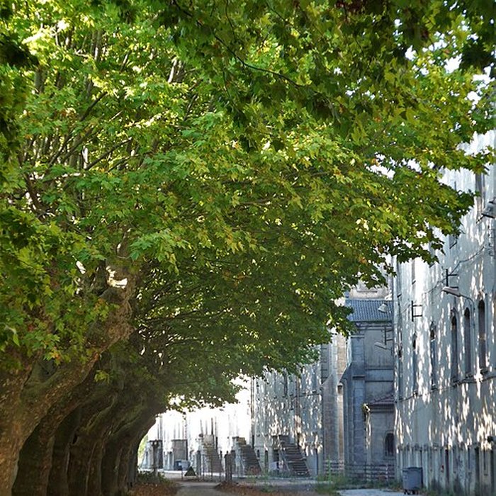 Photo de Usine de chaux de Viviers