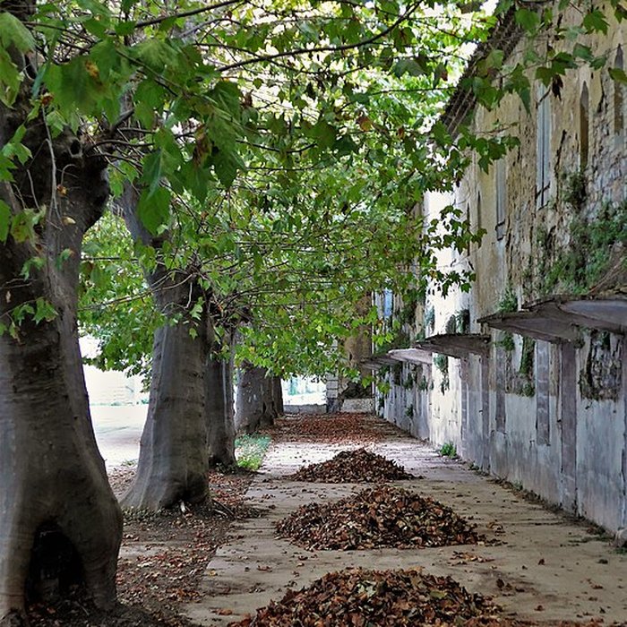 Photo de Usine de chaux de Viviers