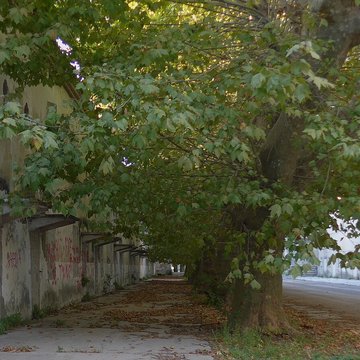 Usine de chaux de Viviers