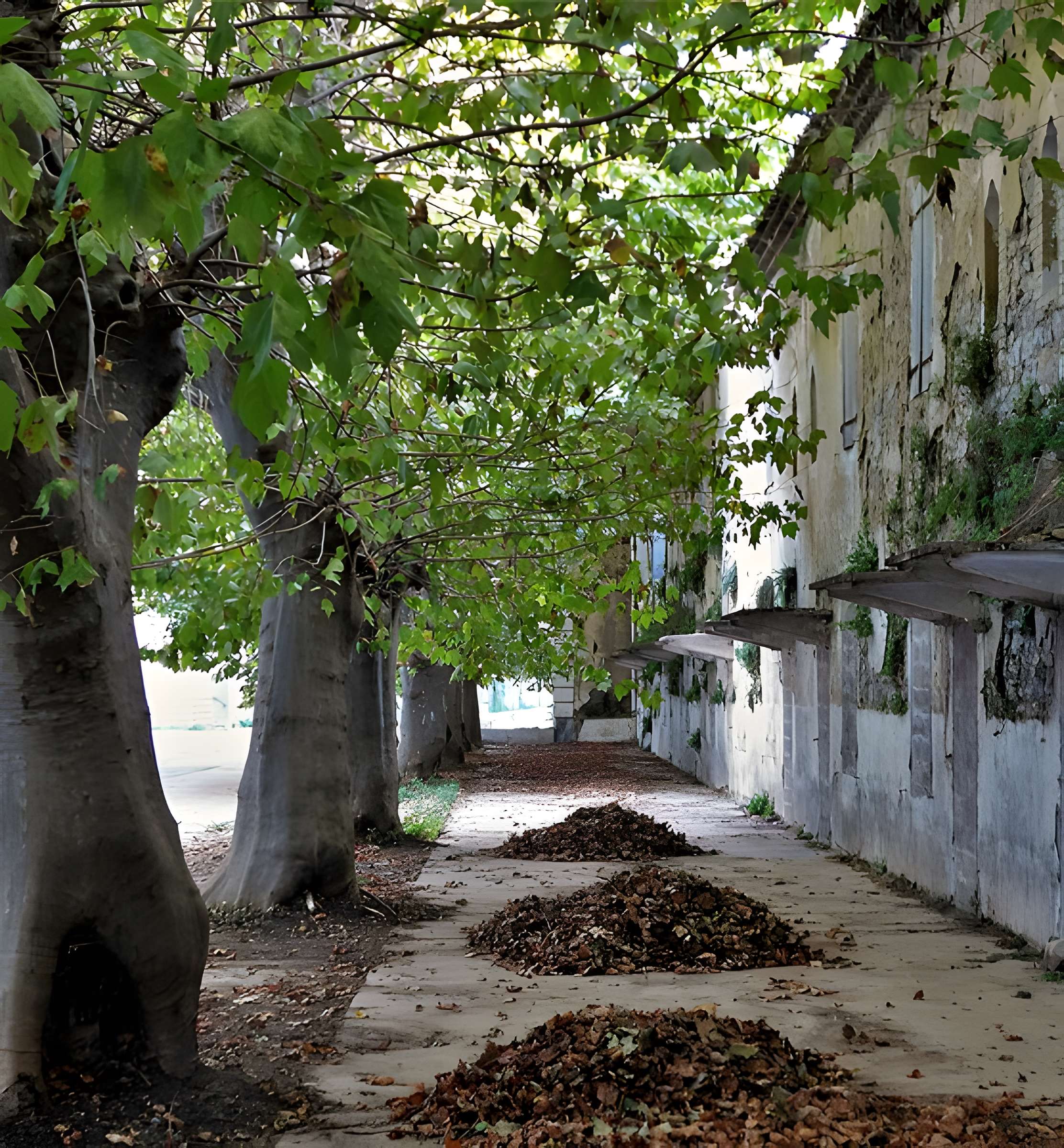 Usine de chaux de Viviers