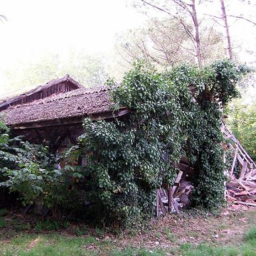 Usine de distillation de produits résineux à Saint-Symphorien
