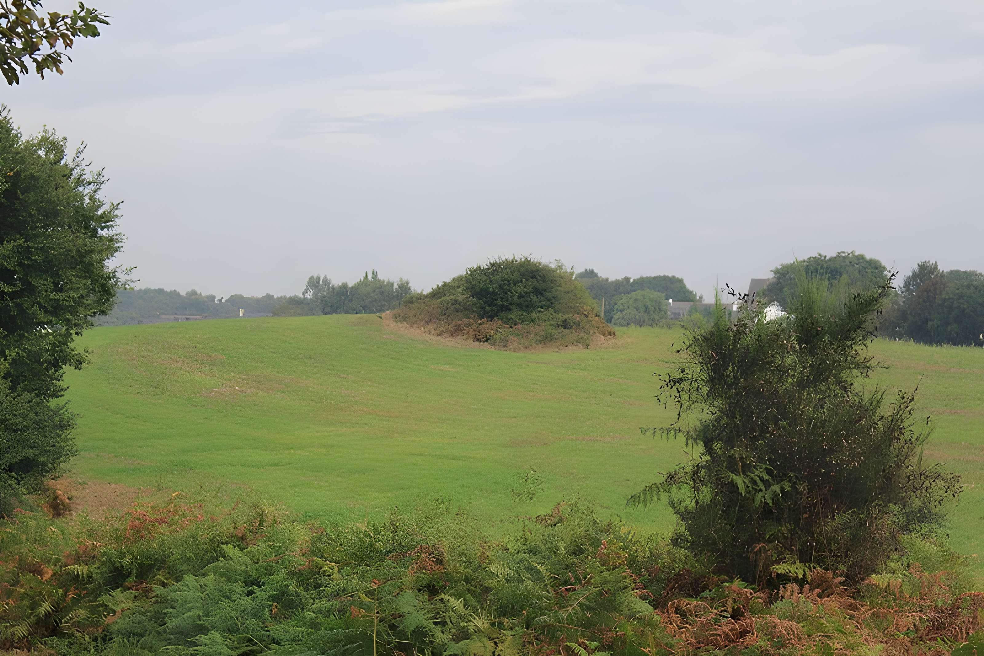 Usine de salaison gallo-romaine du Resto à Lanester 
