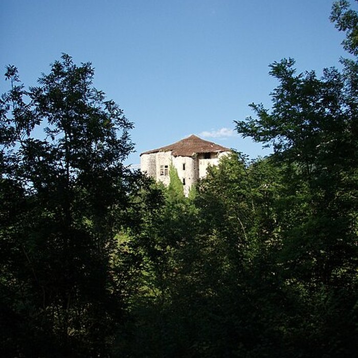 Photo de Château de la Forest