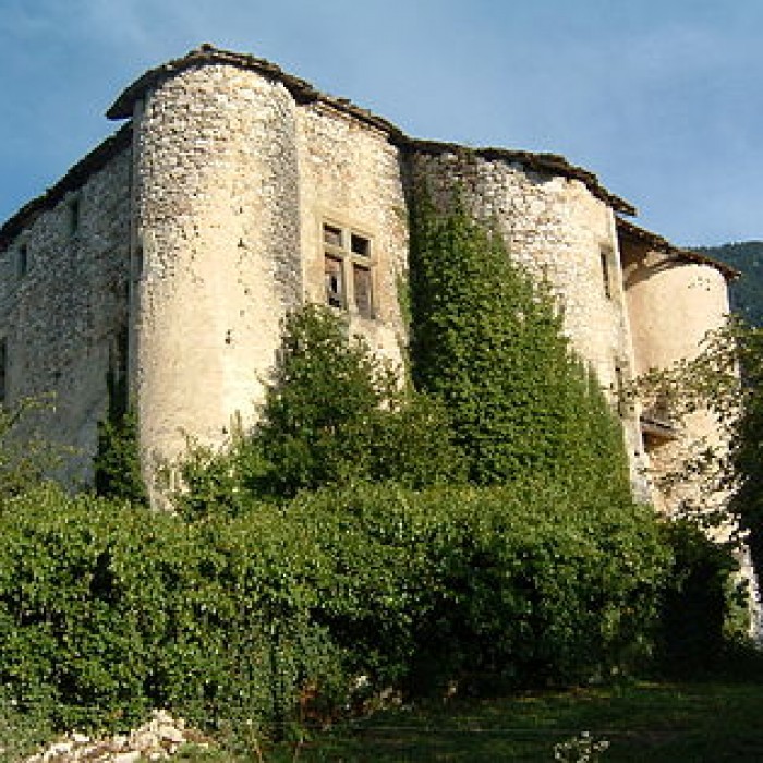 Photo de Château de la Forest