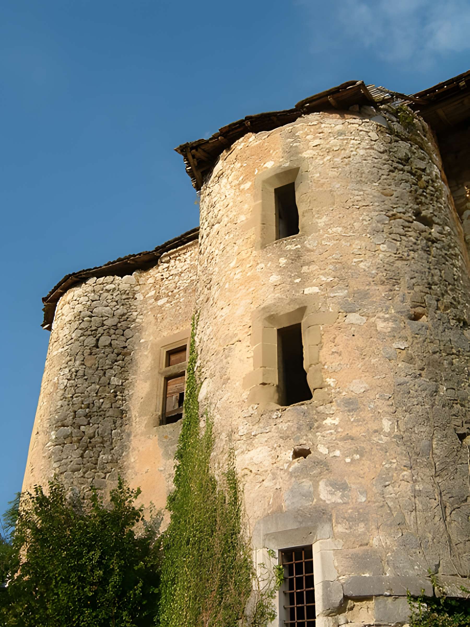 Château de la Forest