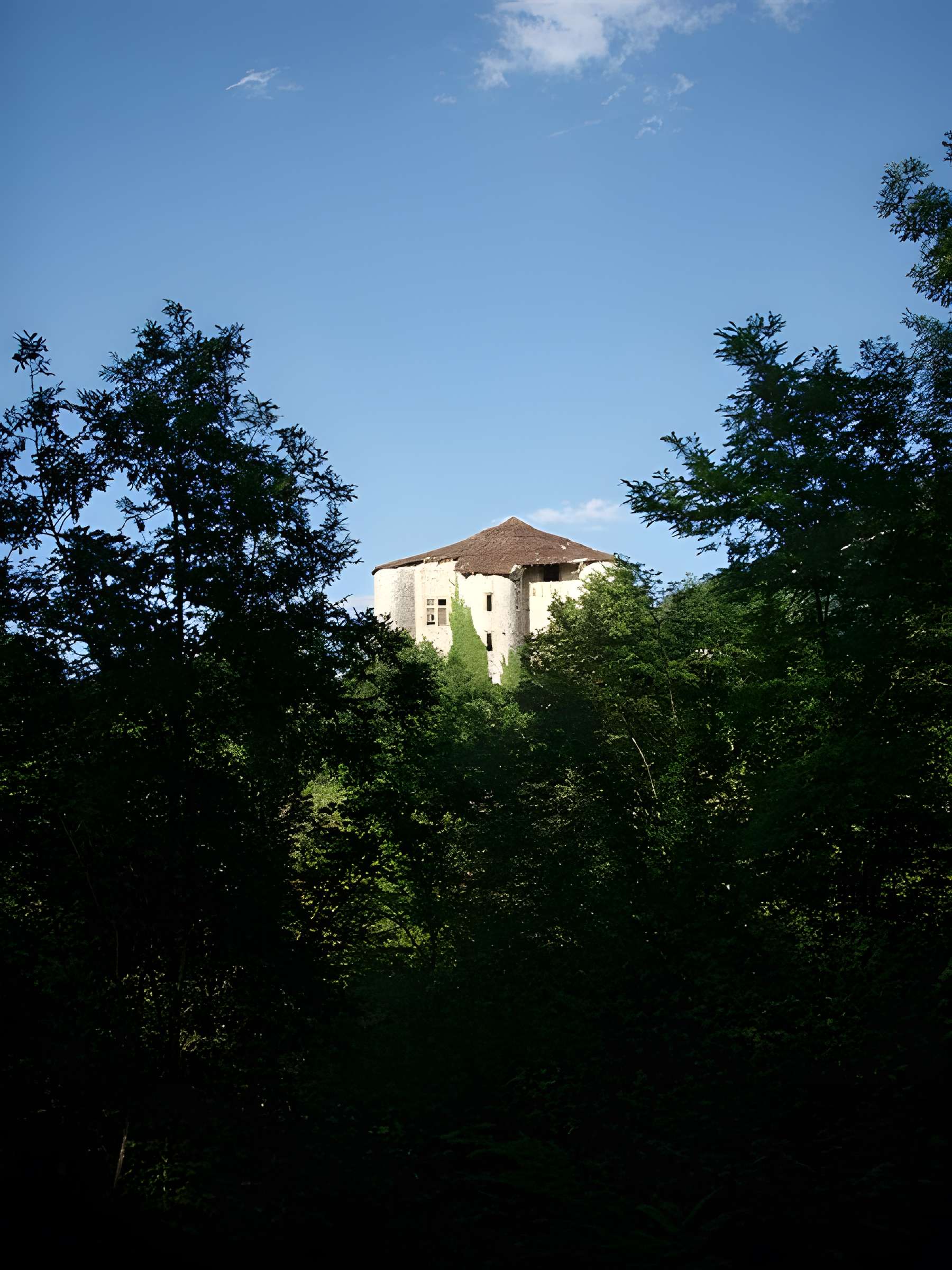 Château de la Forest