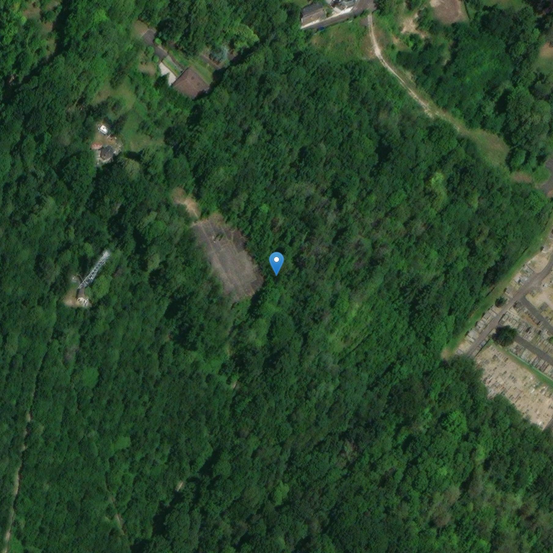 Photo de エルブフのガスとカンテルー植物