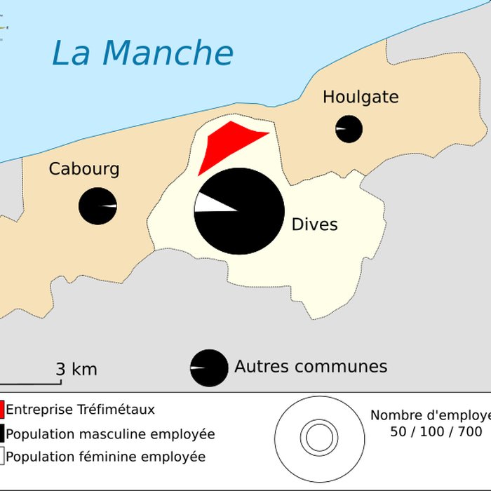 Photo de Usine Tréfimétaux de Dives-sur-Mer
