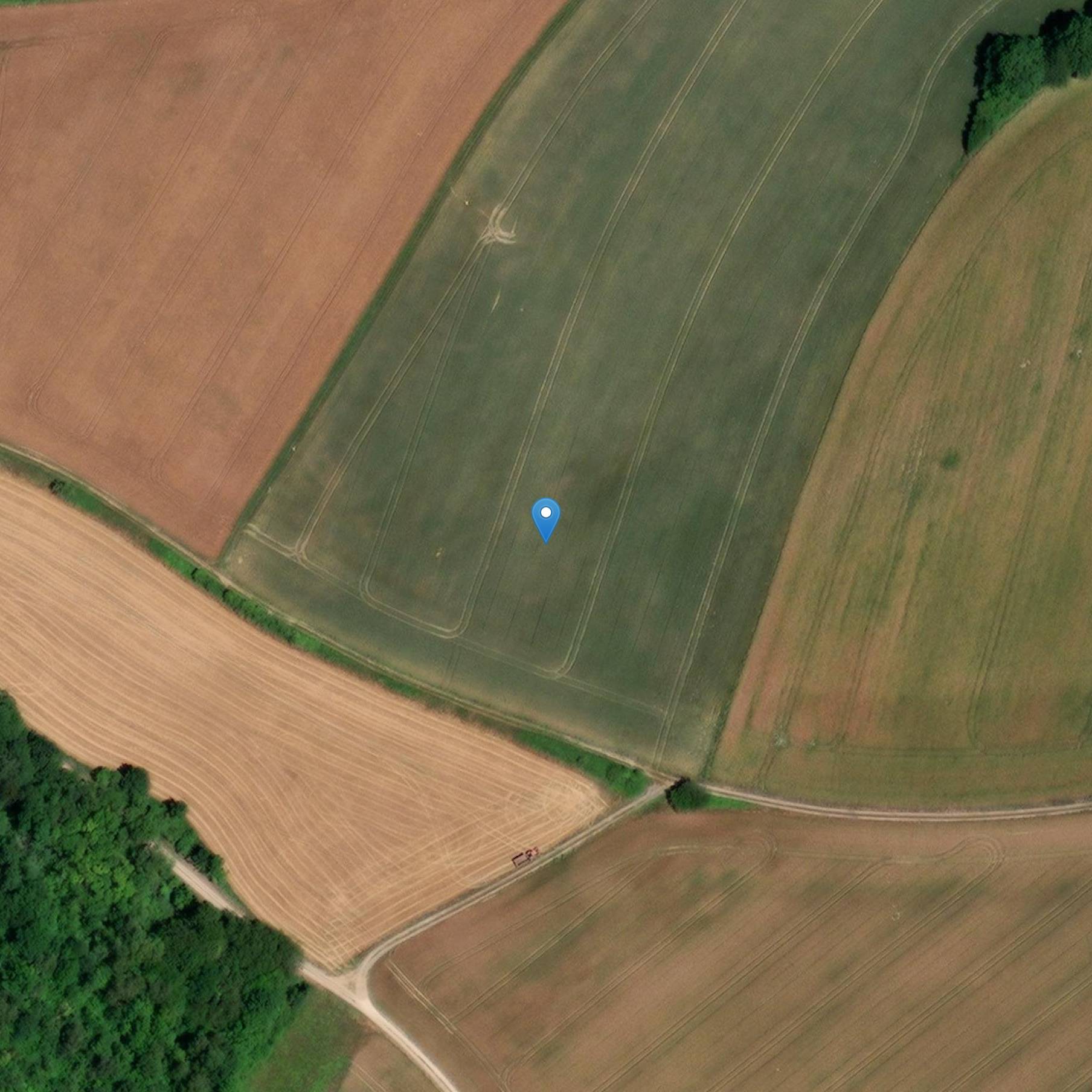 Photo de Vendemmia di Orgeval