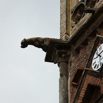 Cathédrale de la Nativité-de-Marie de Rieux