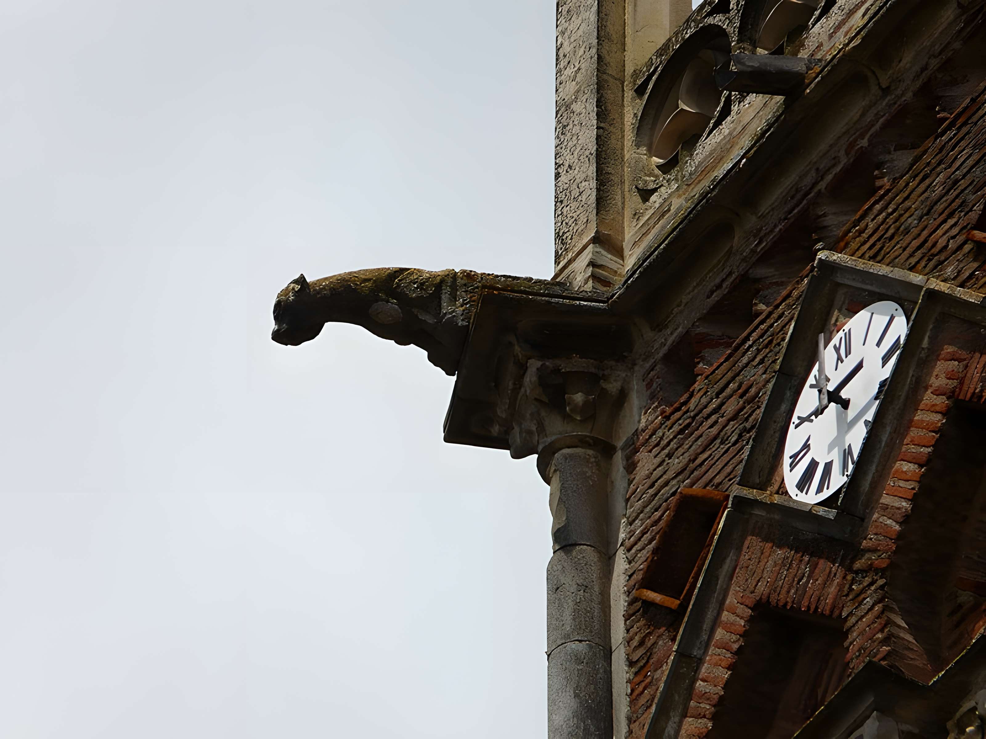 Cathédrale de la Nativité-de-Marie de Rieux