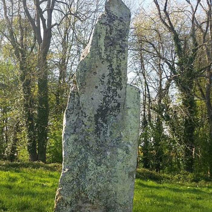 Photo de Verziau de Gargantua de Bois-lès-Pargny
