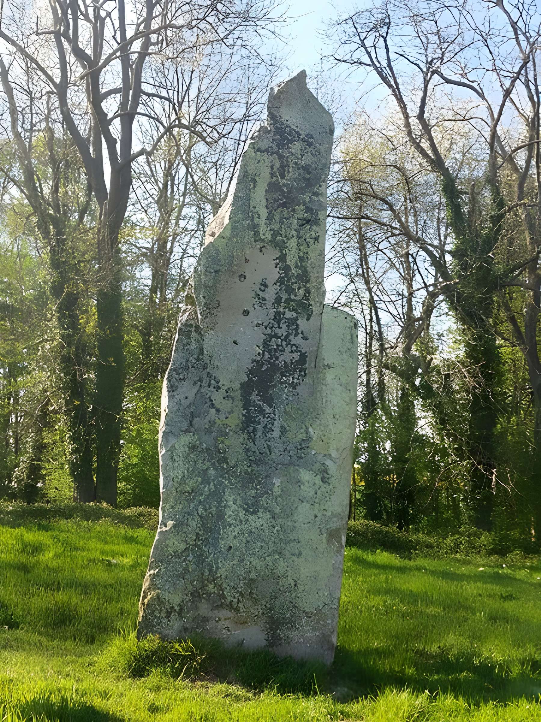 Verziau de Gargantua de Bois-lès-Pargny 