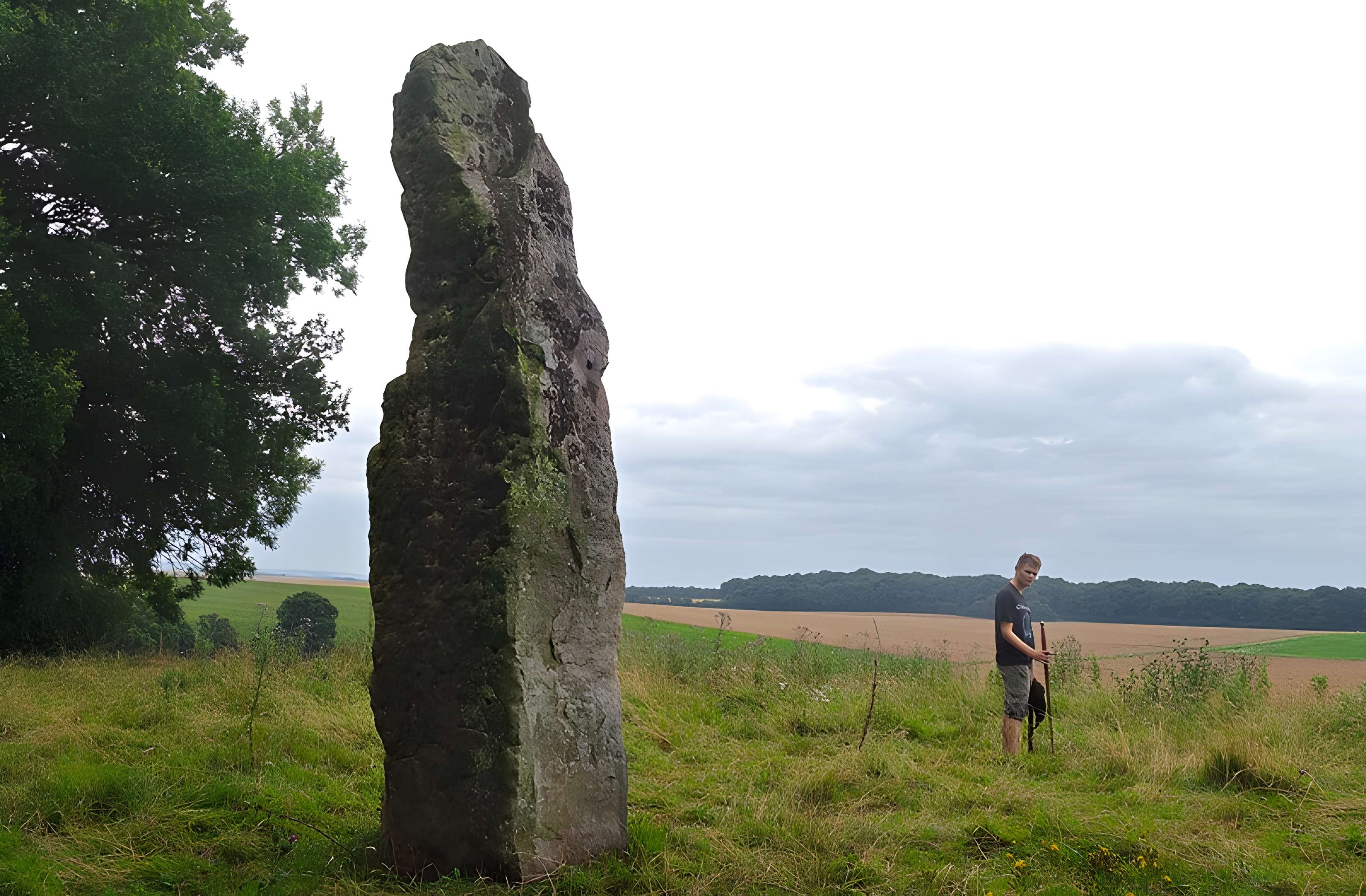 Verziau de Gargantua de Bois-lès-Pargny