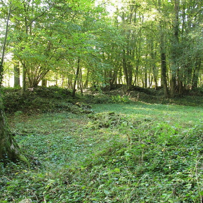 Photo de Vestiges archéologiques de Champallement