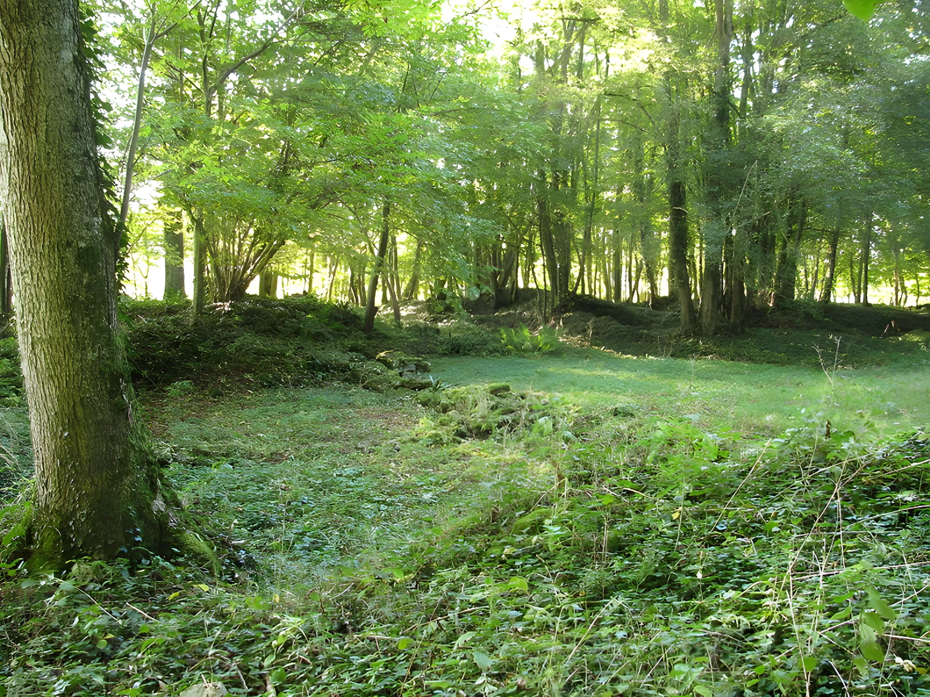 Vestiges archéologiques de Champallement 