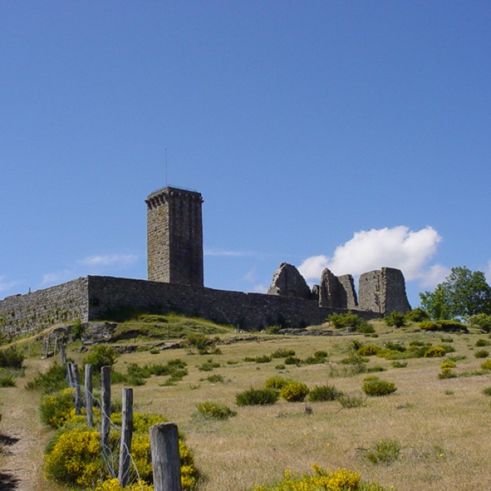 Photo de Château de la Garde Guérin