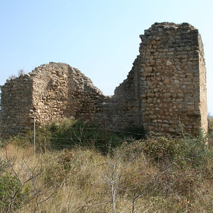 Photo de Vestiges archéologiques du Pallas à Mèze