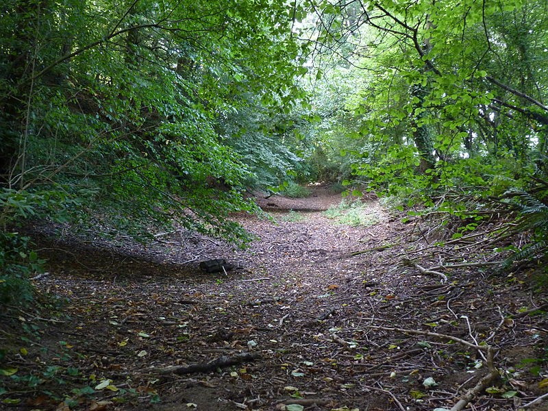 Photo de Vestiges du camp antique du Castel Dû à Langoat