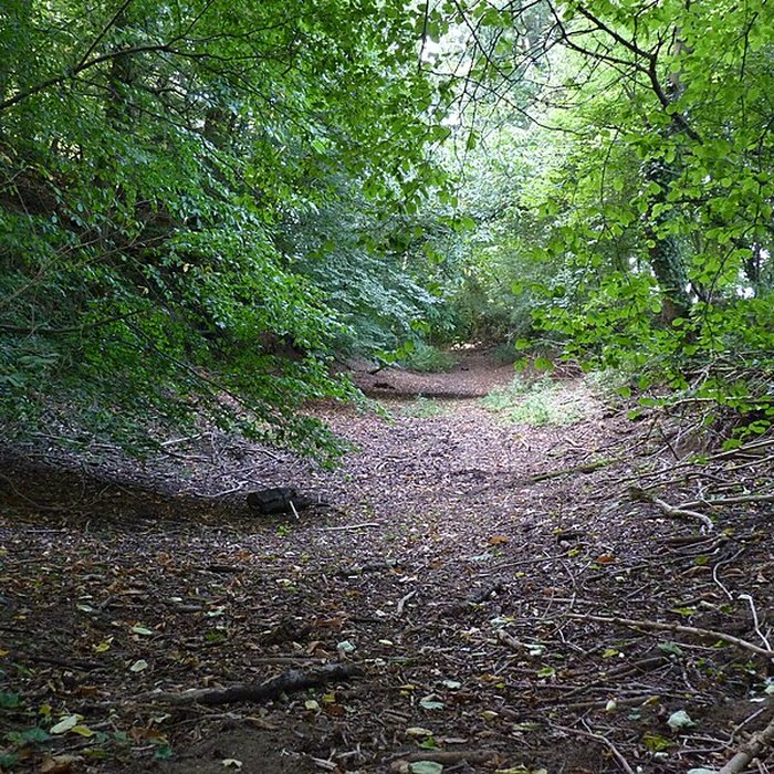 Photo de Vestiges du camp antique du Castel Dû à Langoat