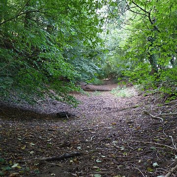 Vestiges du camp antique du Castel Dû à Langoat