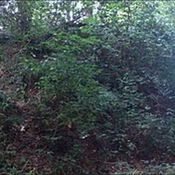 Vestiges du camp antique du Castel Dû à Langoat