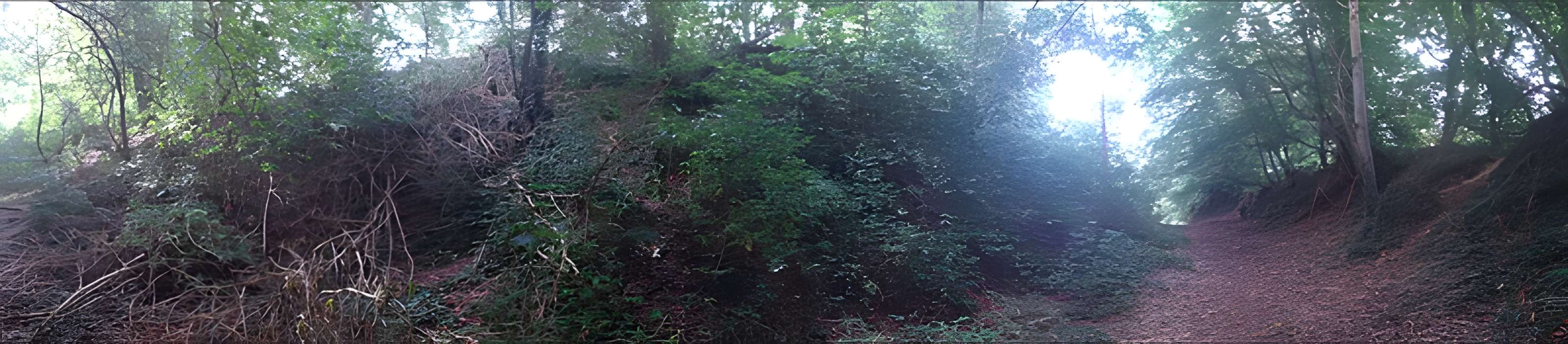 Vestiges du camp antique du Castel Dû à Langoat