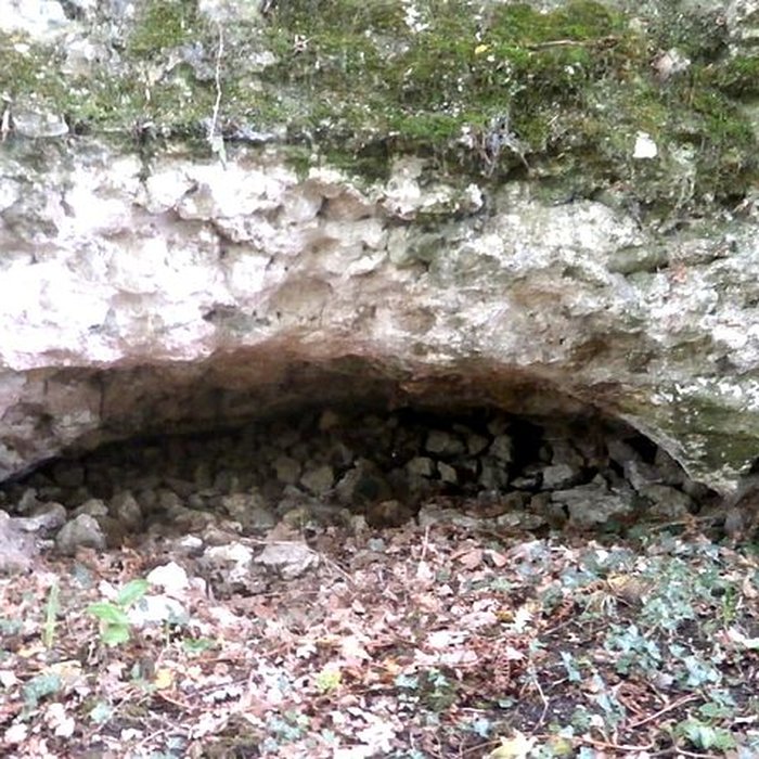 Photo de Vestiges du castellum romain de Larçay