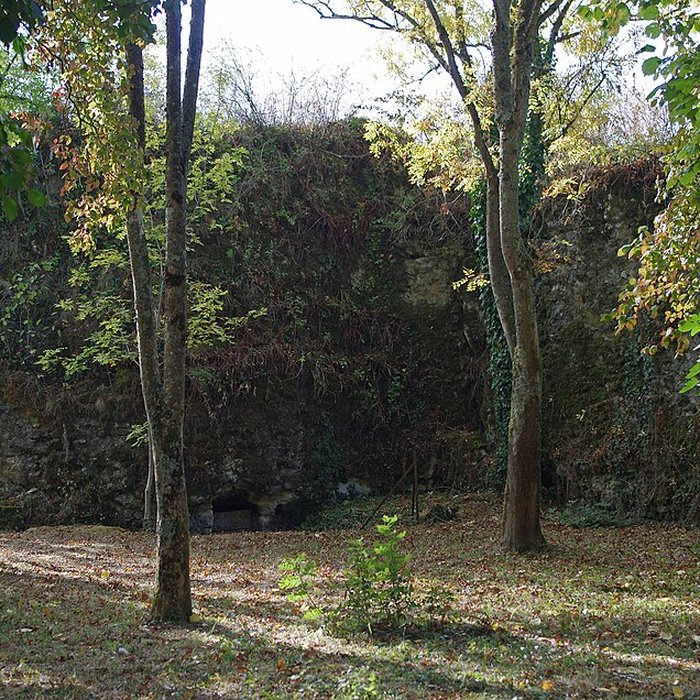 Photo de Vestiges du castellum romain de Larçay