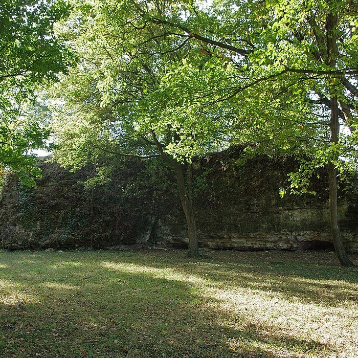 Photo de Vestiges du castellum romain de Larçay