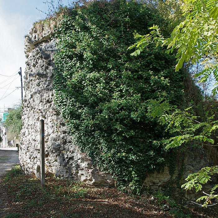 Photo de Vestiges du castellum romain de Larçay