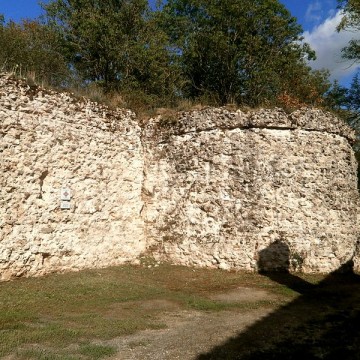 vestiges du castellum romain de larcay
