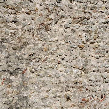 Vestiges du castellum romain de Larçay